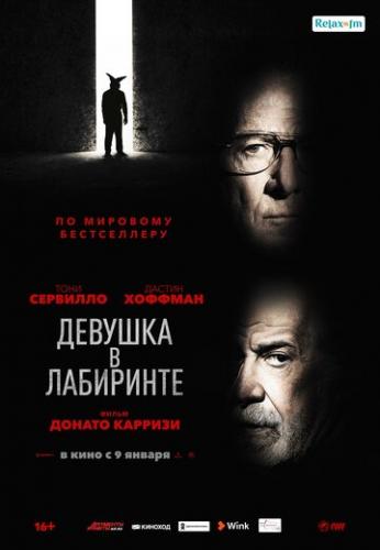 ����� ������� � ��������� / L'uomo del labirinto (2019)
