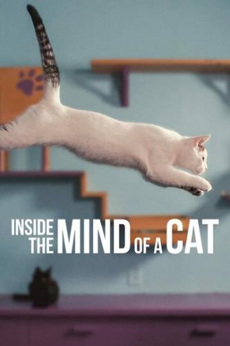 ����� ������ ������ ����� / Inside the Mind of a Cat (2022)