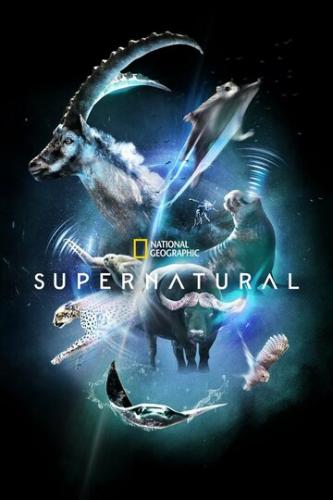 �����/������������ / Super/Natural (2022)