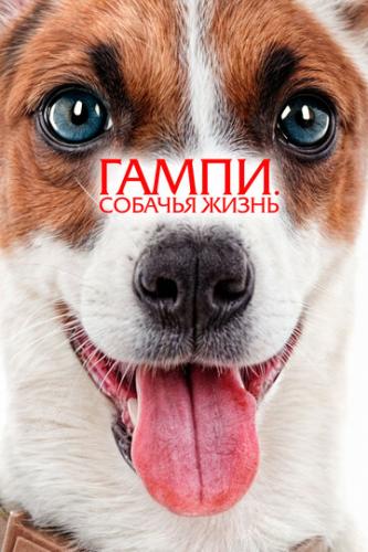 ����� �����. ������� ����� / Gump - Jsme dvojka (2024)